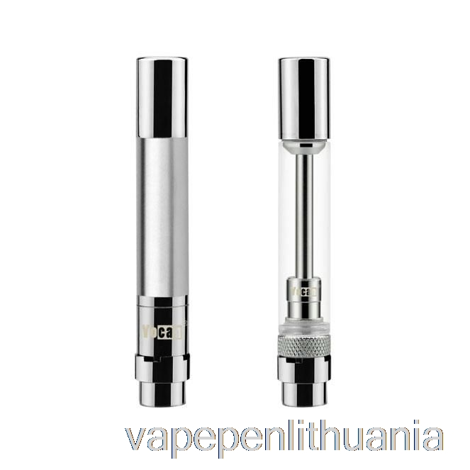 Yocan Slaptas Garintuvas Alyvos Ir Koncentrato Purkštuvas 1,0 Omų Koncentrato Bako Vape Skystis